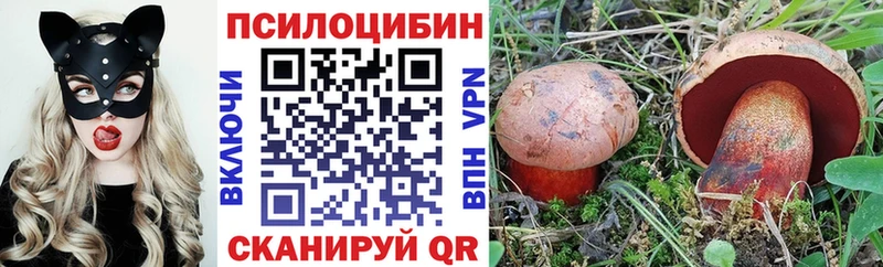 купить наркотик  Ардатов  Псилоцибиновые грибы мицелий 